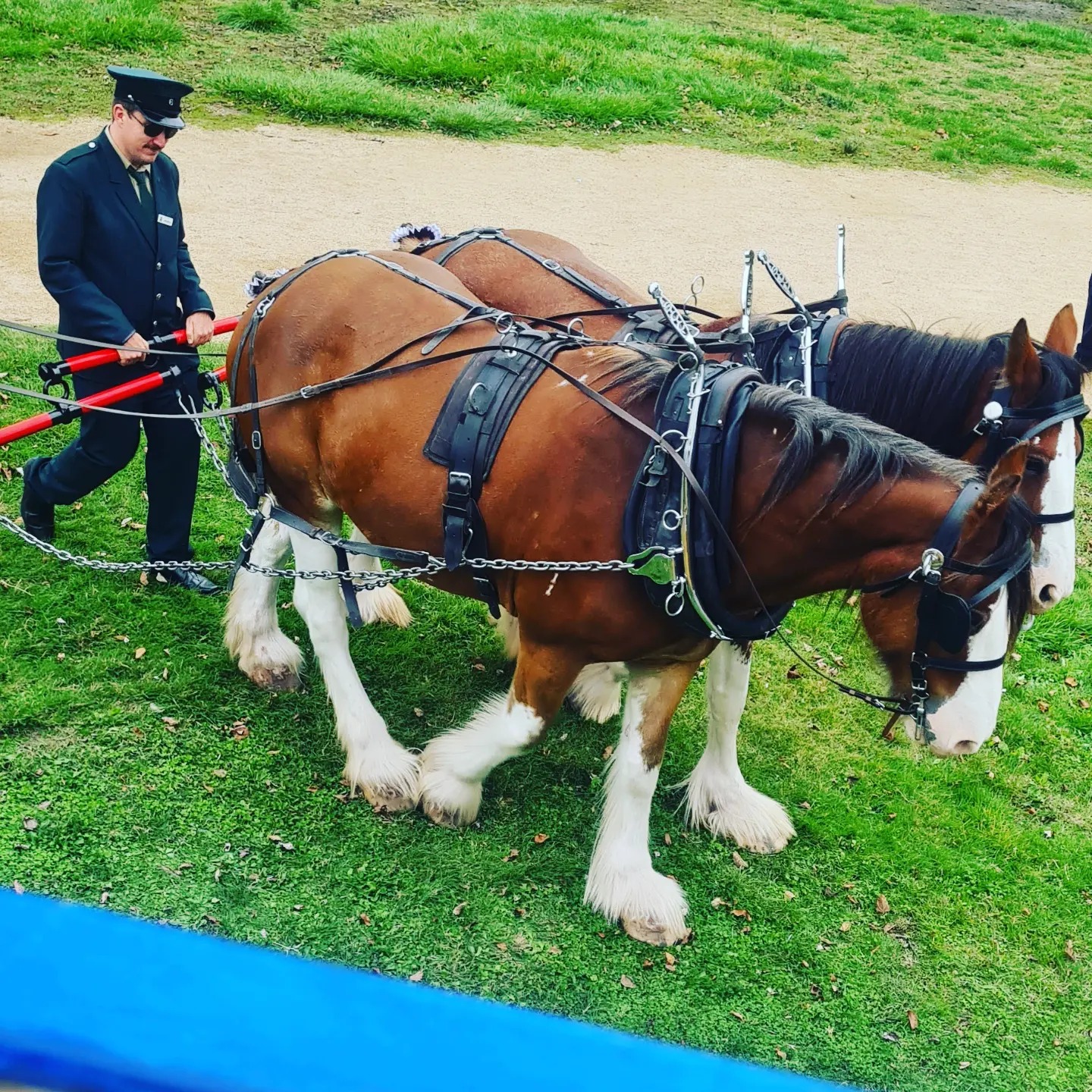 Photo: Christine Hickson