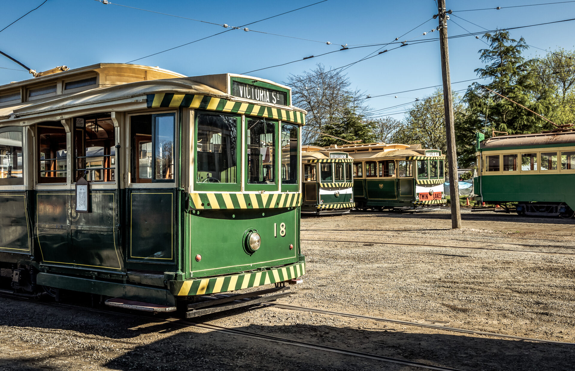 BTM 50th Anniversary photo 2024 - Lynley Quedley