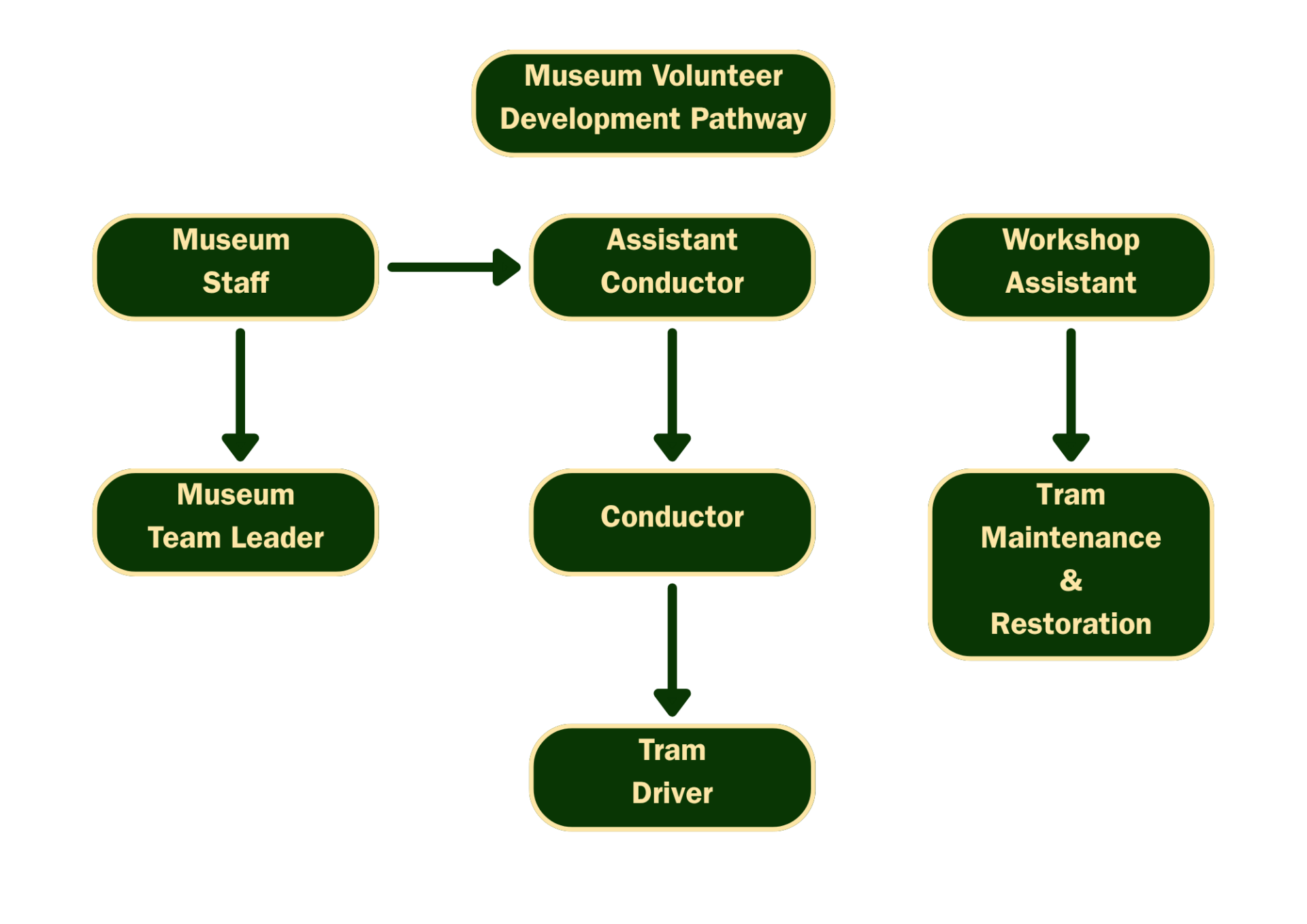 Volunteer pathways image explaining how a volunteer is trained.