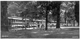 A 1936 primary school visit to the Gardens with seven trams.