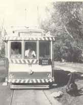 A Museum operated tram eases past a swan and her cygnets - 1987.