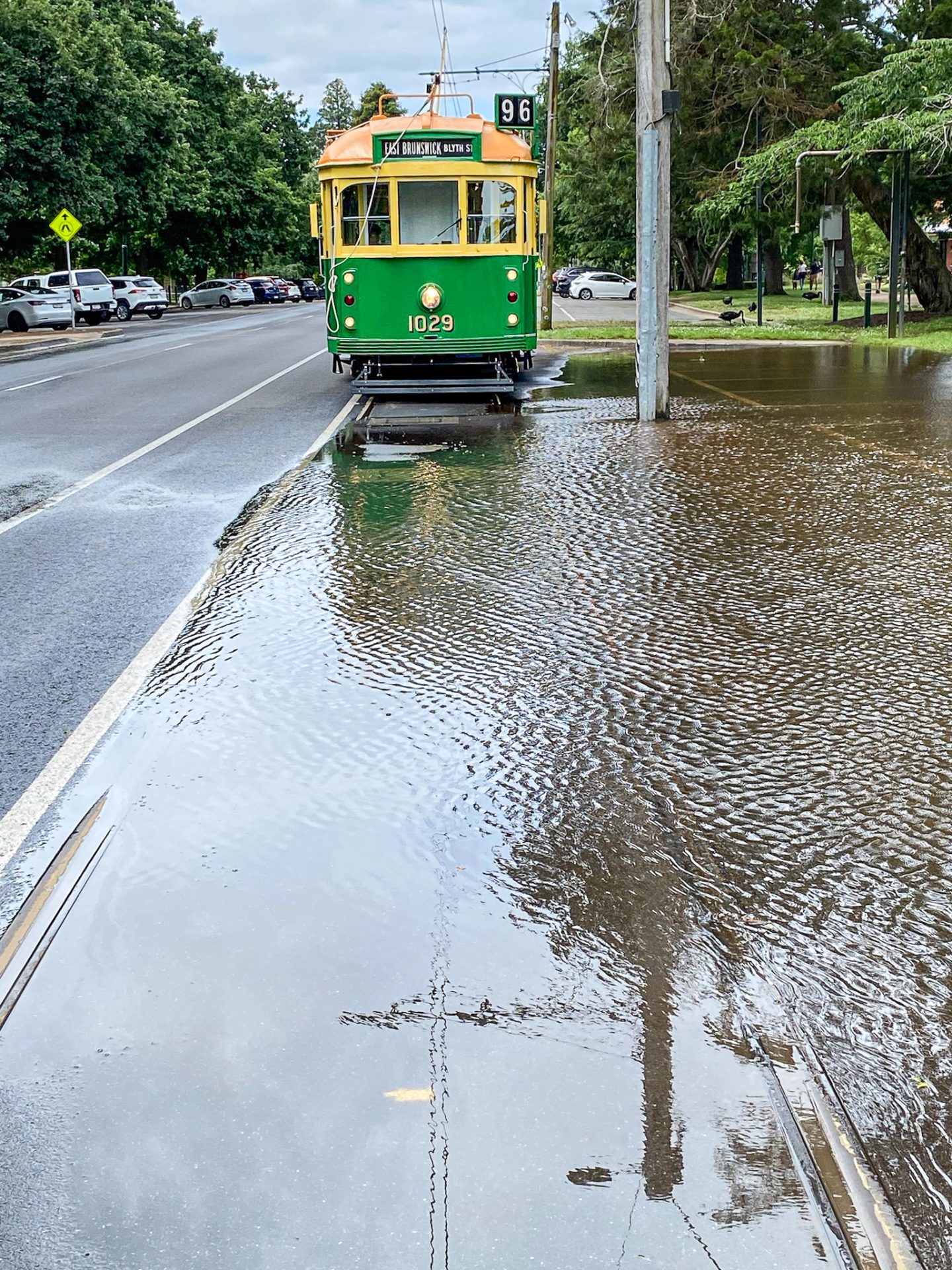 Tram 1029 in Wendouree Parade after heavy January rain