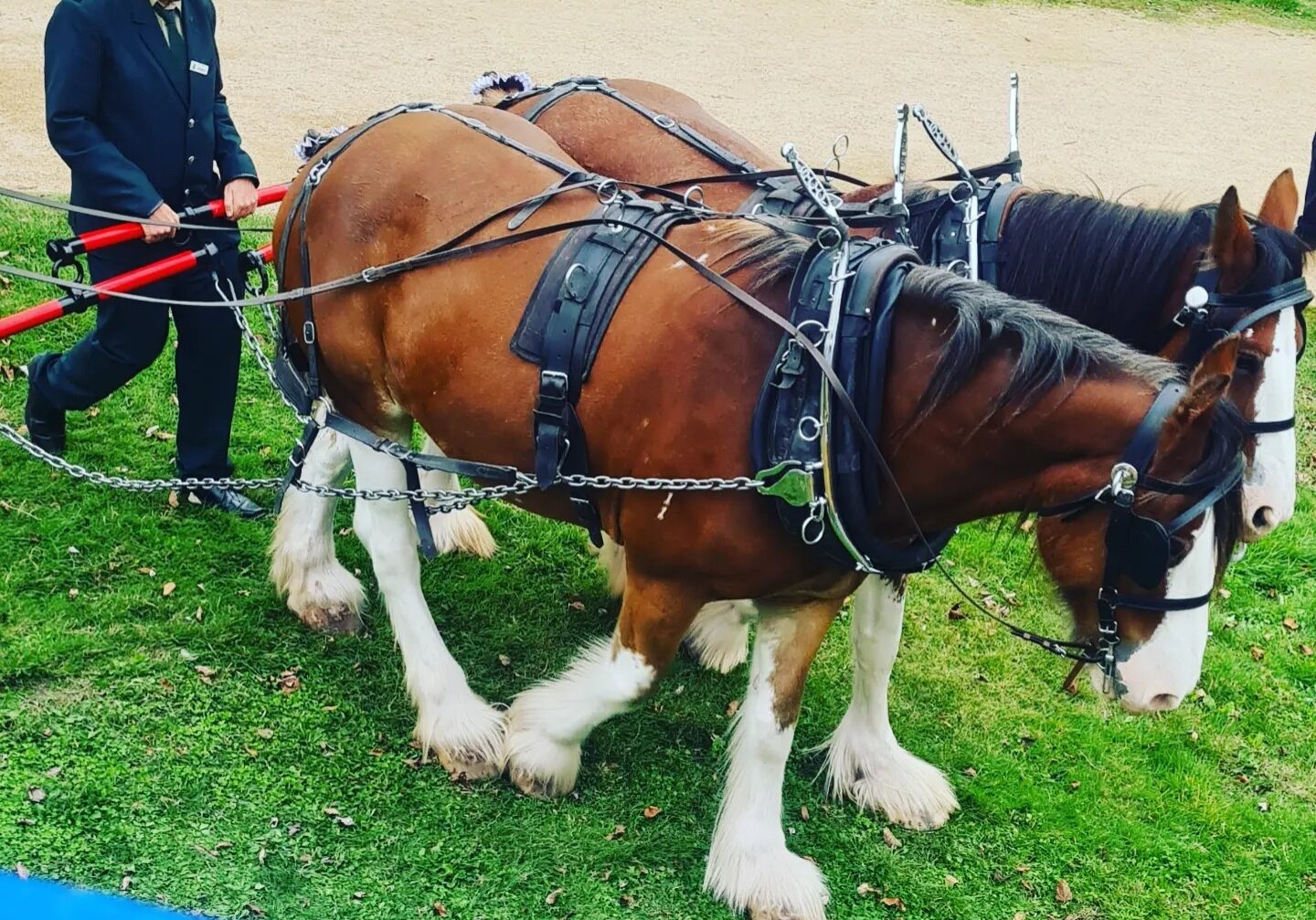 Photo: Christine Hickson