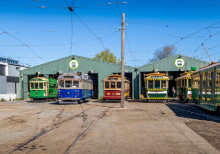 Tram line-up, December 2023. Photo: Lynley Quedley