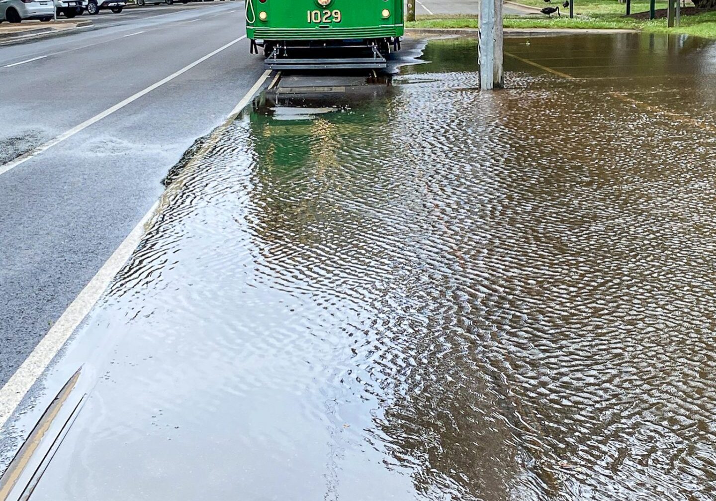 Tram 1029 in Wendouree Parade after heavy January rain