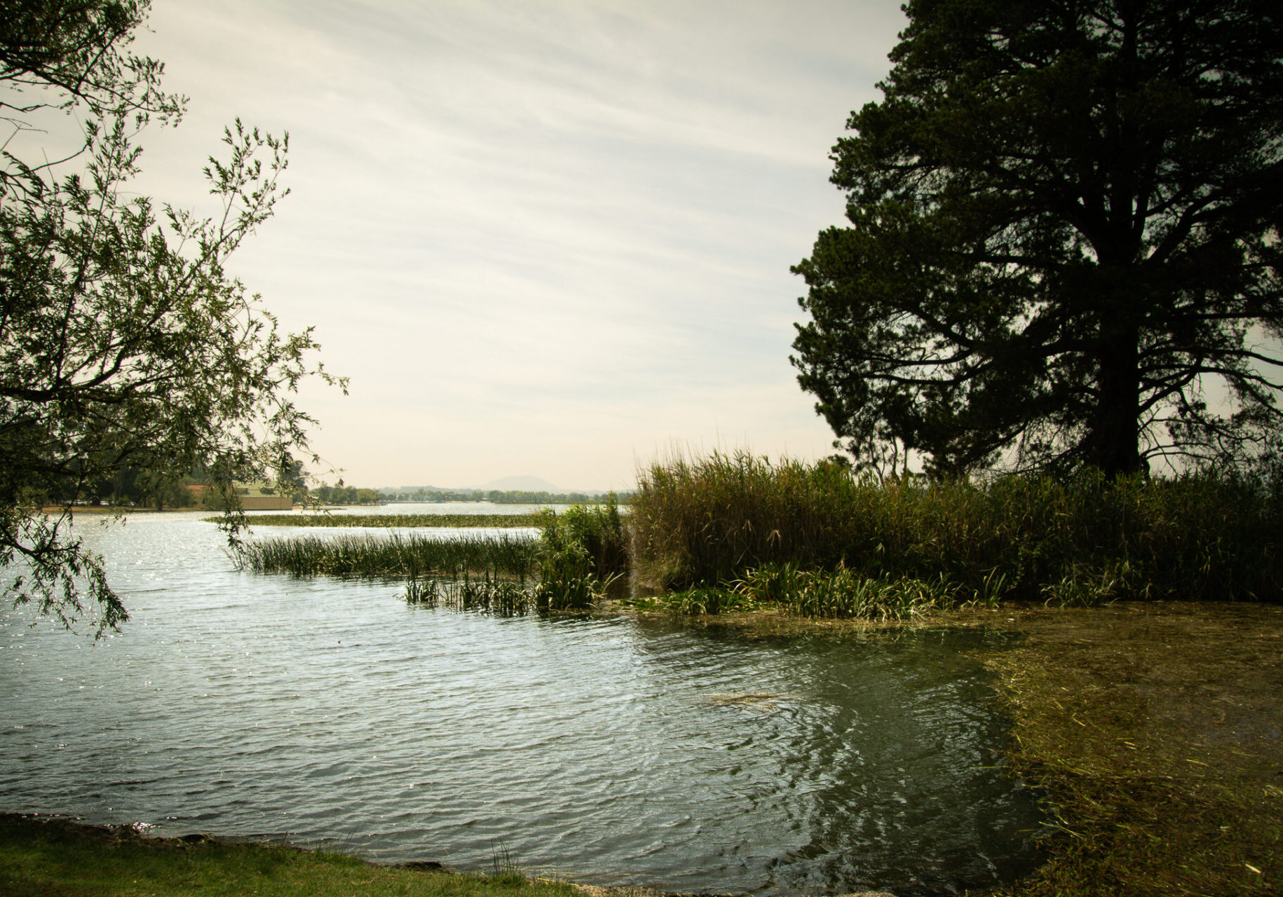 View across the lake