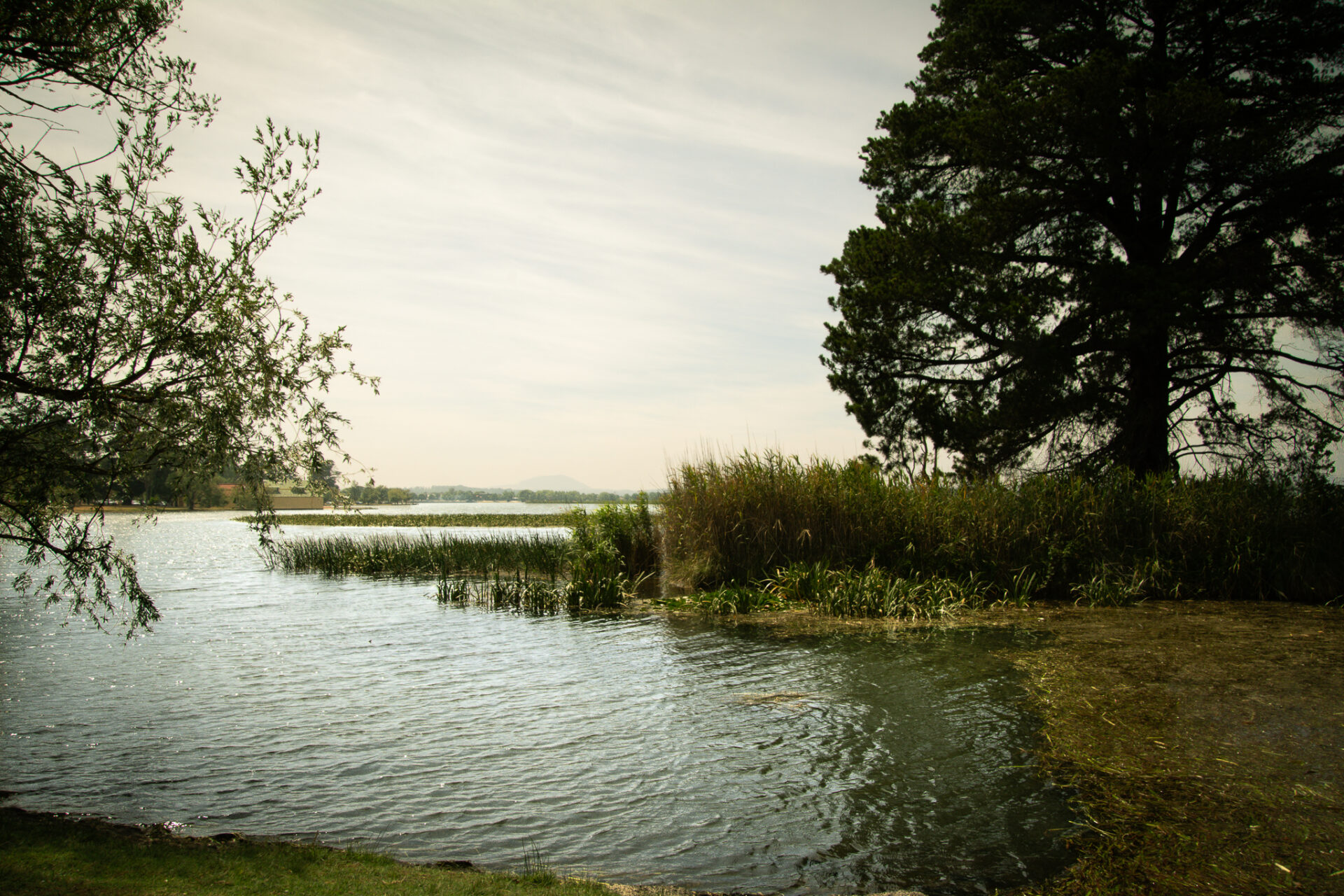 View across the lake